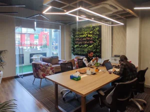 Office meeting room with wooden table, indoor plants and geometric ceiling lights designed by commercial interior designers Amartya architects.
