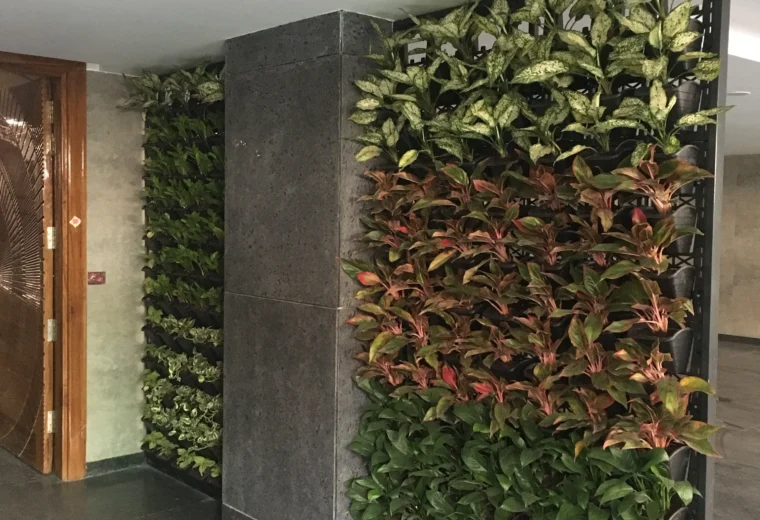 Vertical green wall installation with layered indoor plants enhancing modern residential interior by Amartya Architects | vertical garden design
